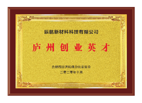 庐州创业英才